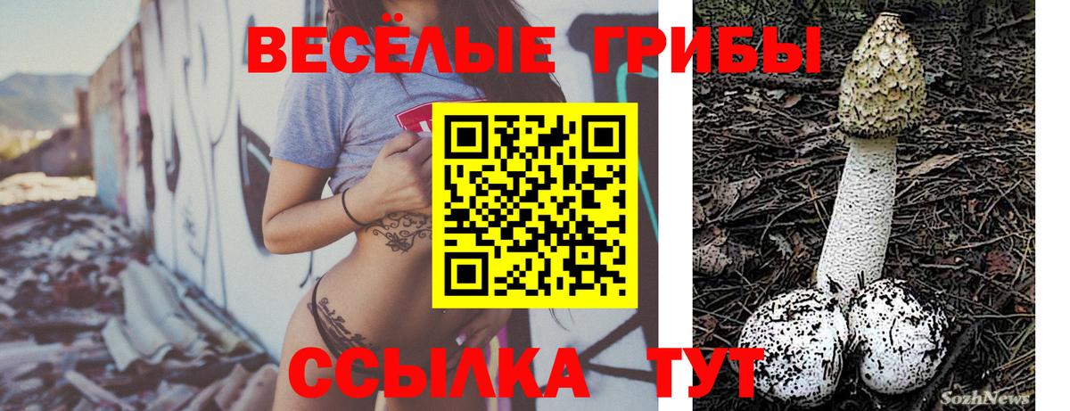 Псилоцибиновые грибы мицелий  магазин    Дагестанские Огни  Вход с VPN  Псилоцибиновые грибы мухоморы 